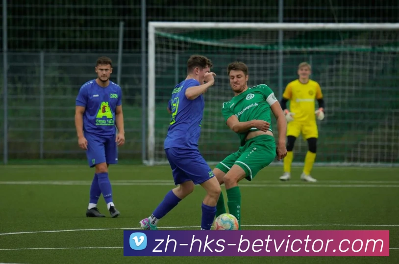 App Interface Preview