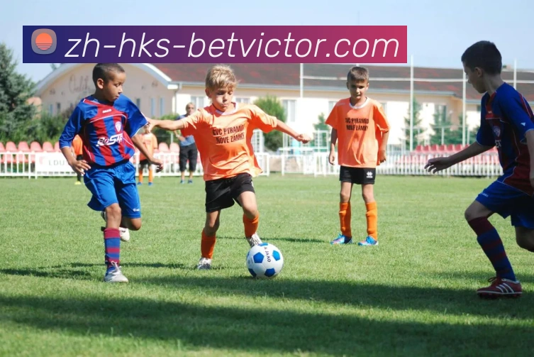 必威体育官网APP 封面图